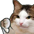 catno