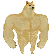 dogemuscle dogemuscle
