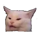 Pussy
