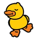 duck