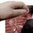 PetTheDonoWall