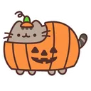 pumpkinsheen