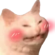 Uwucat