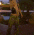 756583910451707934.gif?v=1