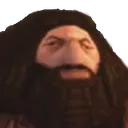 hagridPS1