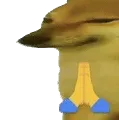Dorime