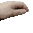 PetTheBlank