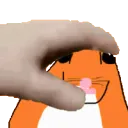 hmstpet
