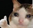 AGC_CatThumbsUp
