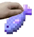 petfishy