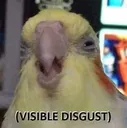 visibledisgust