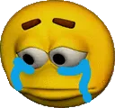 intjsadcry