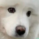 concern