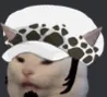 Lawcat