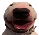 happie happie