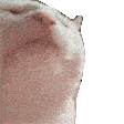 CatJAM