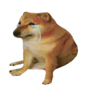 sadcheems Discord Emoji