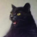 battlecat Discord emoji