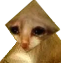 sadcat sadcat