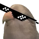BirbWithIt BirbWithIt