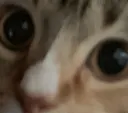 zoewow