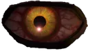 SWEmaul1righteye SWEmaul1righteye