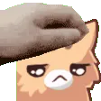 nkosadPet