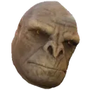 embracemonke