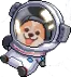 doggo