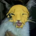 Cheese_Kat
