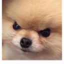 annihilation_angry Discord emoji