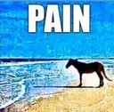 pain