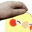 birdpet