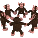 monkeycircle monkeycircle