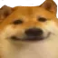 yo