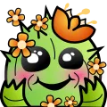 choyaCute