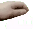 dslpat