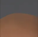 Steve1