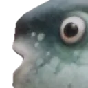 Pog Fish pog_fish Discord Emoji