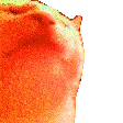 HYPERCATJAM