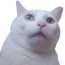 R_wtf Discord Emoji from Prod. By | Music Production