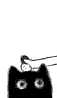 bouncycat