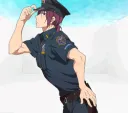 rin_curve_cop rin_curve_cop
