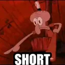 SHORT SHORT