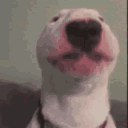WalterDance