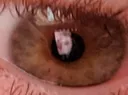 zachseyes zachseyes