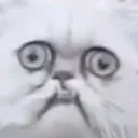 MA