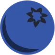 Blueberry blueberry Discord Emoji