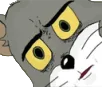 CatConfused CatConfused