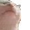 ani_catjam